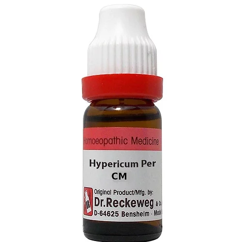 hypericum perforatum