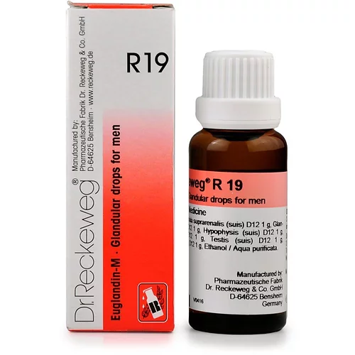 dr reckeweg r19