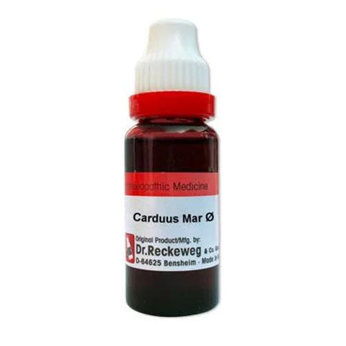 carduus marianus
