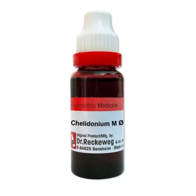 chelidonium majus