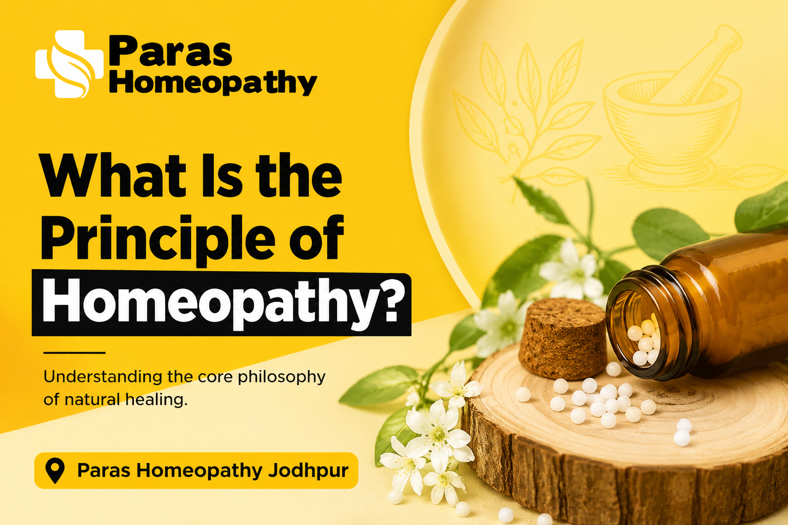Homeopathic medicine bottle with white remedy pellets, natural herbs, and Paras Homeopathy branding illustrating the principle of homeopathy and natural healing.